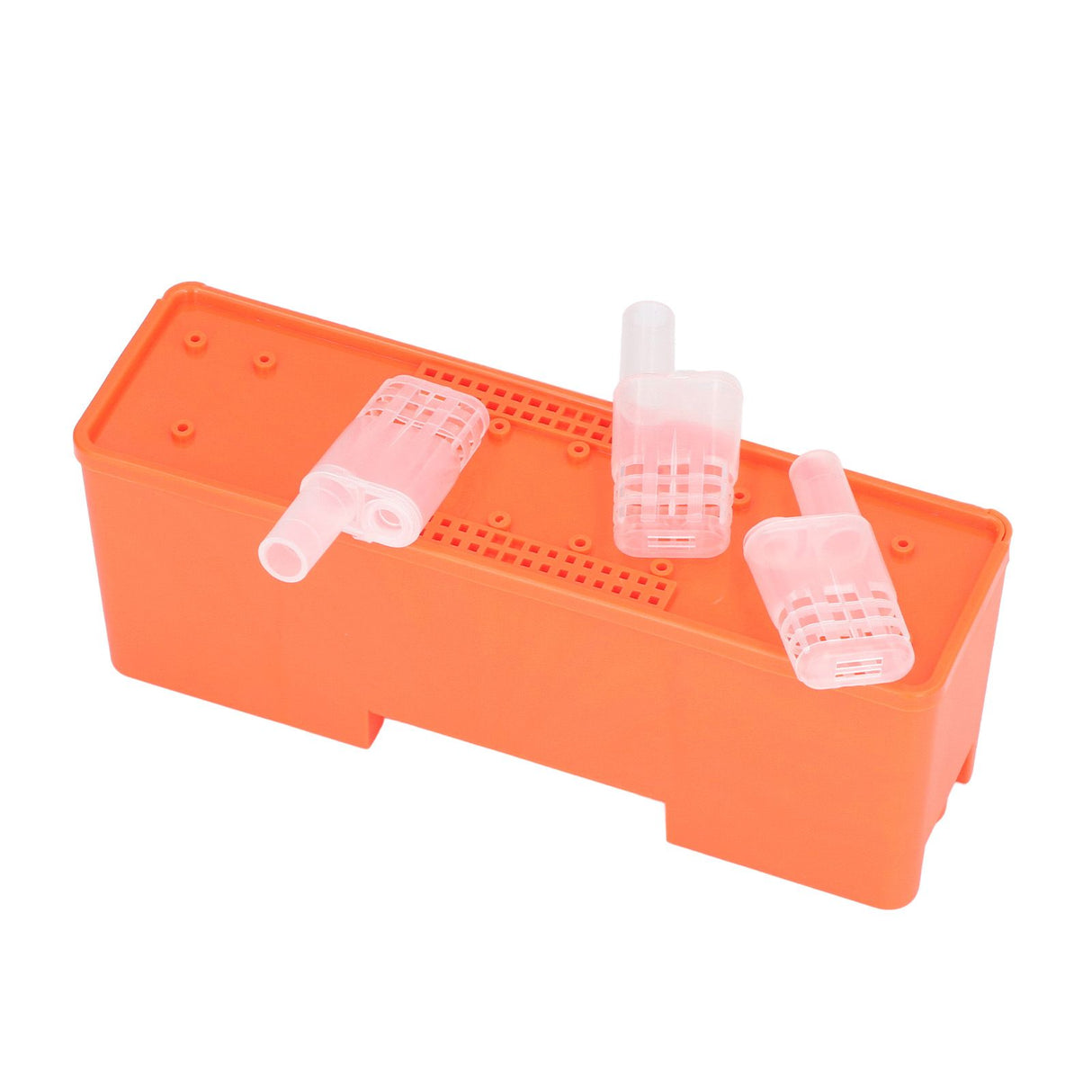 King Cage Transport Box with 20Pcs Queen Bee Rearing Cages Transparent King Cage Beekeeping Tools