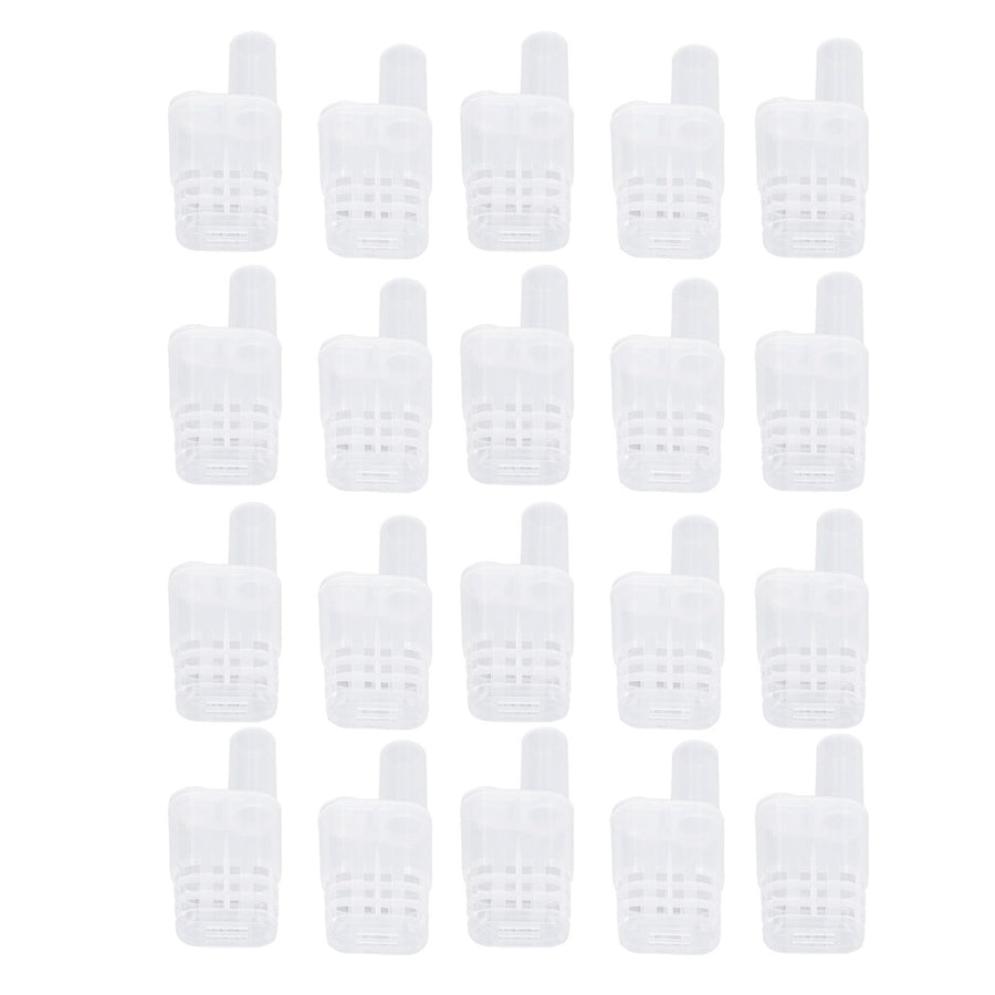 King Cage Transport Box with 20Pcs Queen Bee Rearing Cages Transparent King Cage Beekeeping Tools