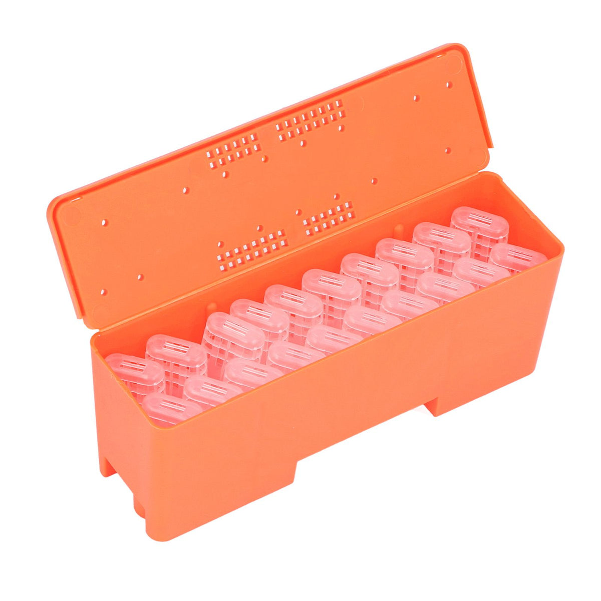 King Cage Transport Box with 20Pcs Queen Bee Rearing Cages Transparent King Cage Beekeeping Tools