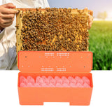King Cage Transport Box with 20Pcs Queen Bee Rearing Cages Transparent King Cage Beekeeping Tools