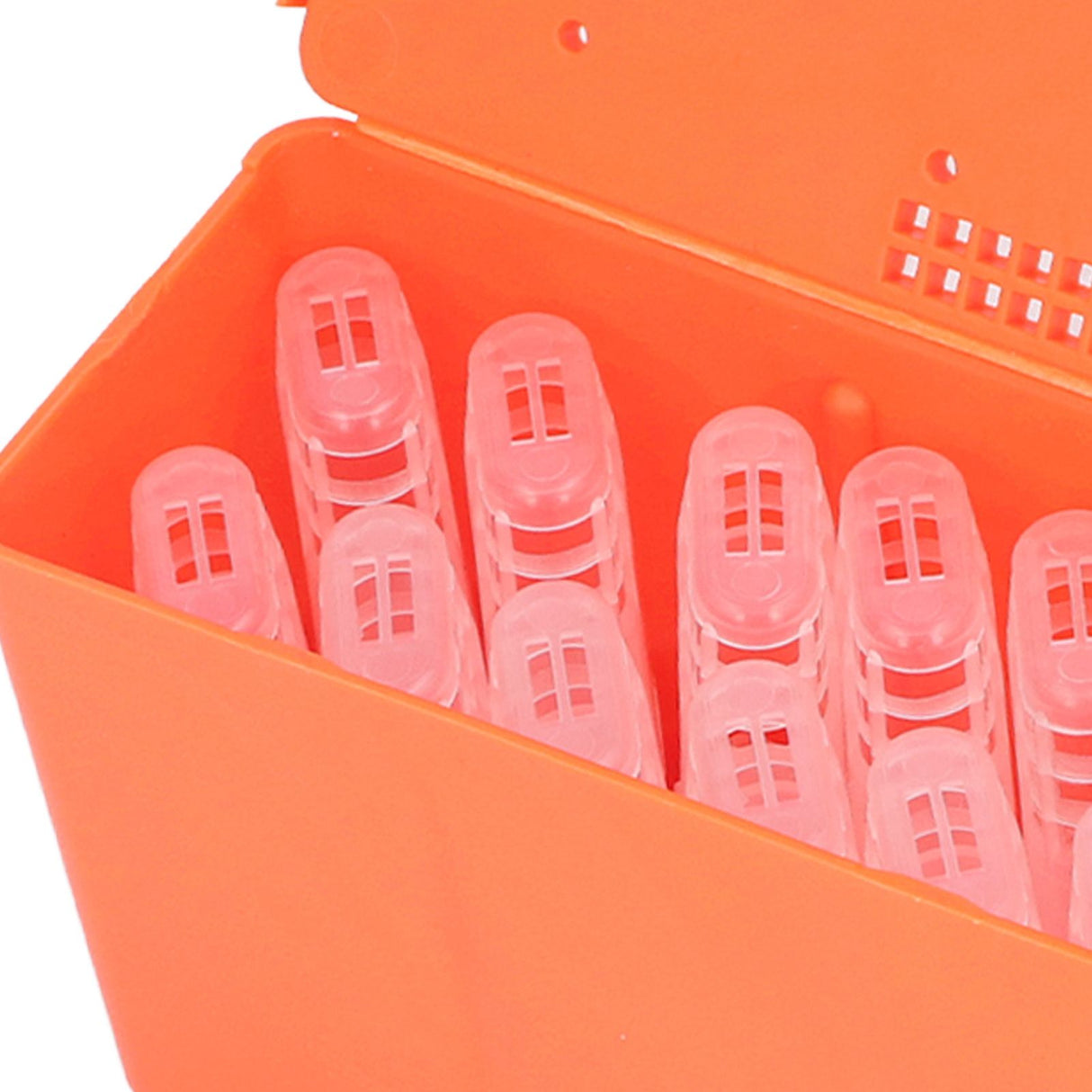 King Cage Transport Box with 20Pcs Queen Bee Rearing Cages Transparent King Cage Beekeeping Tools
