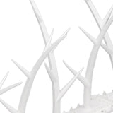 30cm Bird Deterrent Spikes Plastic Bird Repellent Spikes for Fence Roof Mailbox Window