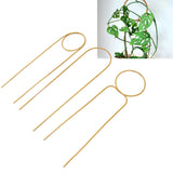 3 Pcs Plant Trellis 40cm Wrought Iron Metal Plant Climbing Trellis Indoor Green Plant Potted Flower Arrangement Bracket Gold - Extra Image