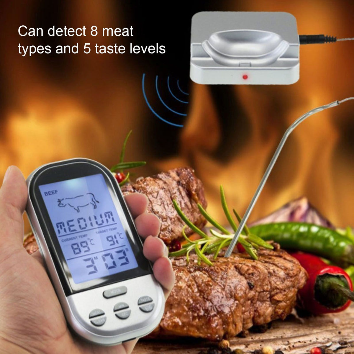 Wireless Thermometer Timer Overtime Alarm Function Practical Temperature Meter for Kitchen Barbecue Cooking