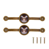 2 Pcs Zinc Alloy Antique Copper Handle European Modern Pastoral Color Acrylic Handle for Cabinet DrawerBrown