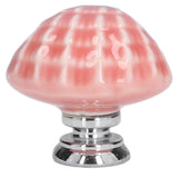 2 Set Drawer Knobs Pull Handles Ceramics Cabinet Decorative Knobs with Plate for Kitchen Bathroom Office Decoration1088D Shell
