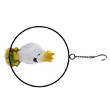 Iron Ring Parrots Decor Bright Texture Waterproof Iron Ring Parrots Resin Pendant Crafts - Extra Image