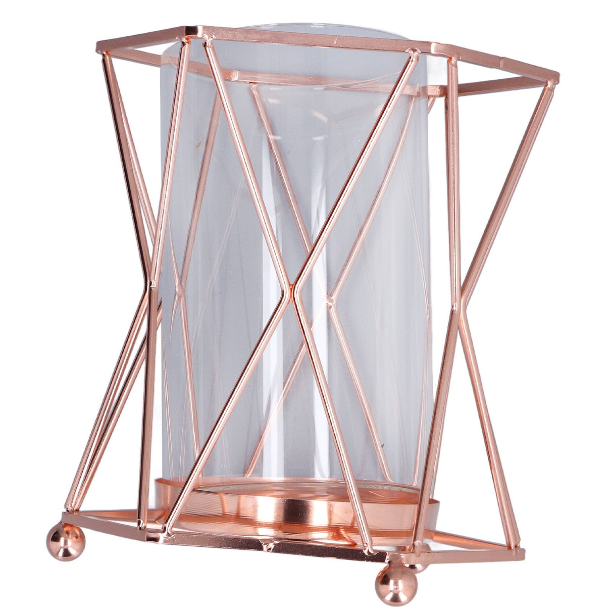 Plant Vase with Wrought Iron Flower Stand Transparent Glass Flower Pot Hydroponic Vase for Living Room