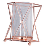 Plant Vase with Wrought Iron Flower Stand Transparent Glass Flower Pot Hydroponic Vase for Living Room - Front View