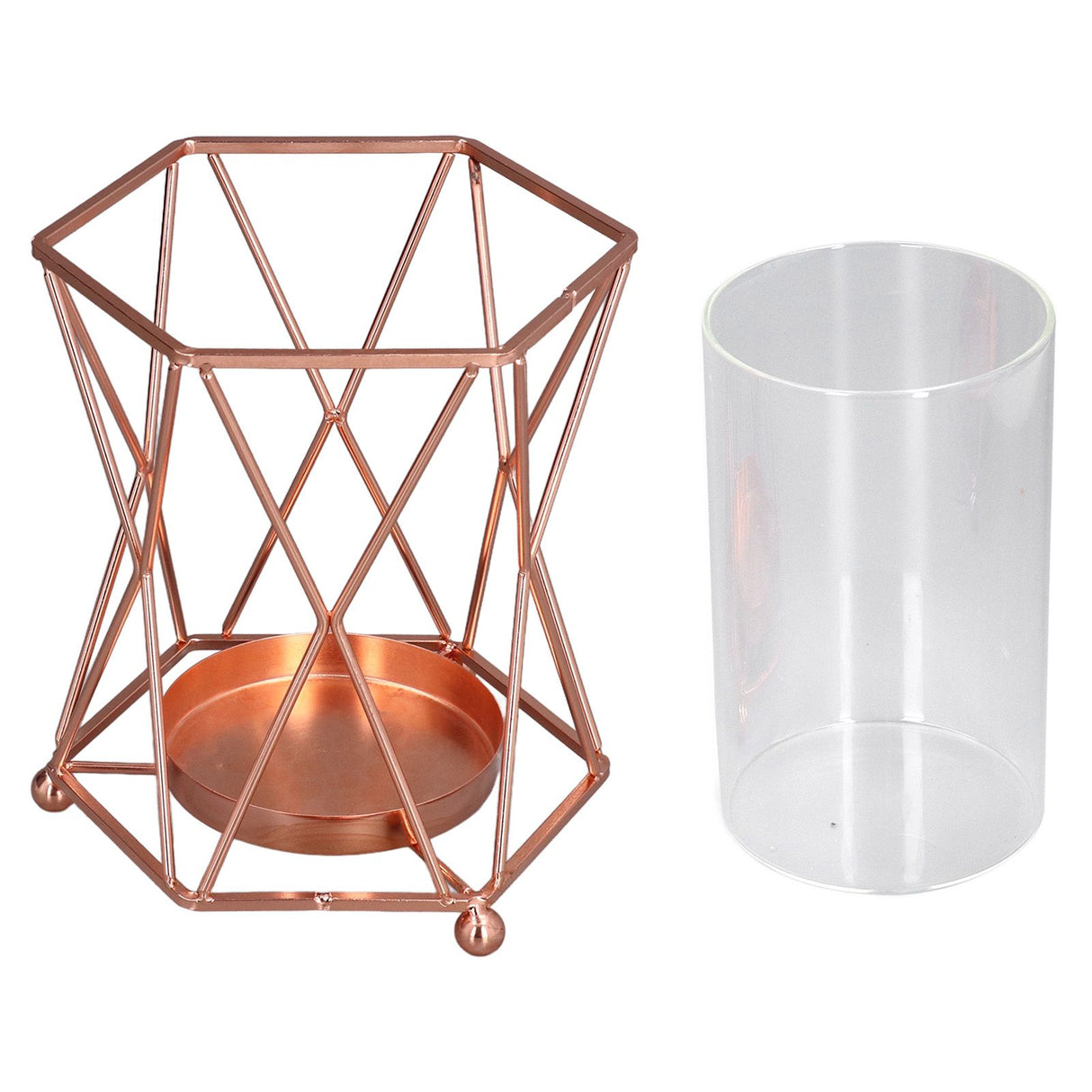 Plant Vase with Wrought Iron Flower Stand Transparent Glass Flower Pot Hydroponic Vase for Living Room