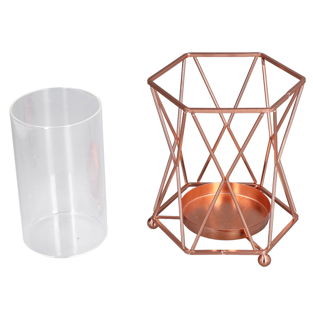 Plant Vase with Wrought Iron Flower Stand Transparent Glass Flower Pot Hydroponic Vase for Living Room