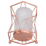 Plant Vase with Wrought Iron Flower Stand Transparent Glass Flower Pot Hydroponic Vase for Living Room