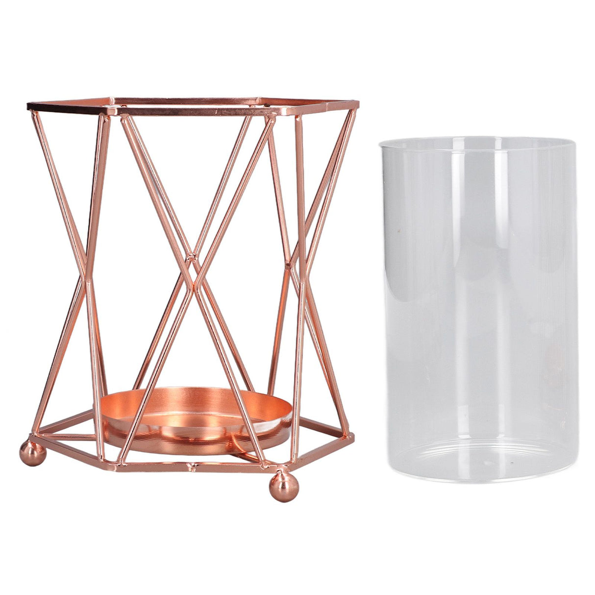 Plant Vase with Wrought Iron Flower Stand Transparent Glass Flower Pot Hydroponic Vase for Living Room