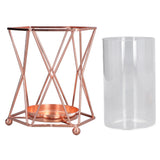 Plant Vase with Wrought Iron Flower Stand Transparent Glass Flower Pot Hydroponic Vase for Living Room - Rear View