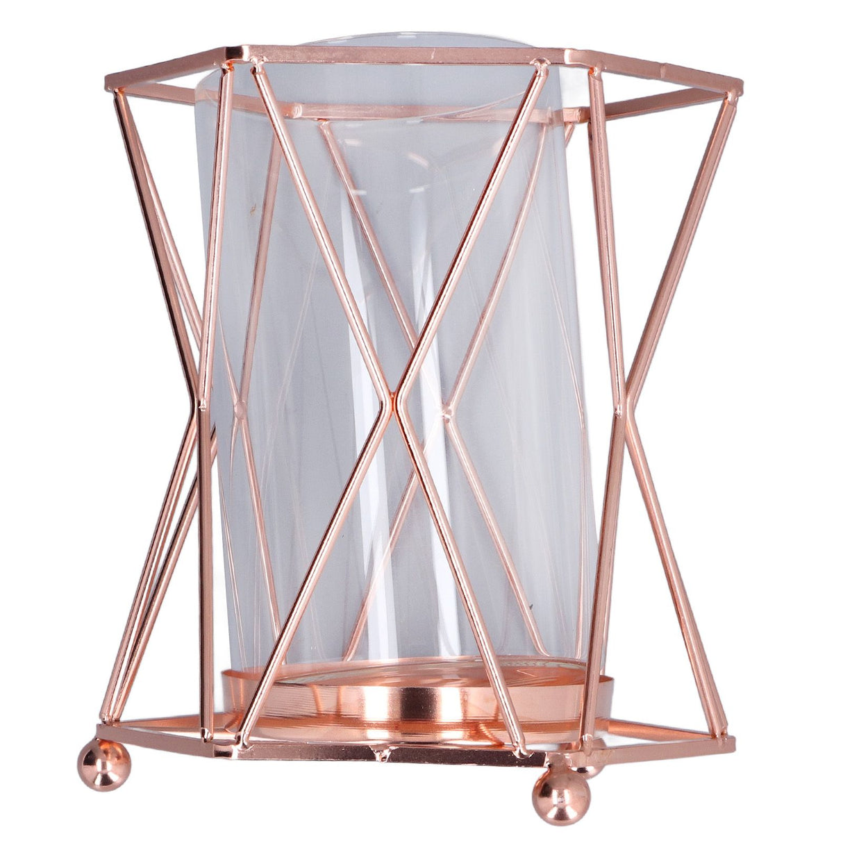 Plant Vase with Wrought Iron Flower Stand Transparent Glass Flower Pot Hydroponic Vase for Living Room