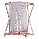 Plant Vase with Wrought Iron Flower Stand Transparent Glass Flower Pot Hydroponic Vase for Living Room - Close-Up Angle
