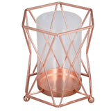 Plant Vase with Wrought Iron Flower Stand Transparent Glass Flower Pot Hydroponic Vase for Living Room