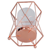 Plant Vase with Wrought Iron Flower Stand Transparent Glass Flower Pot Hydroponic Vase for Living Room - Extra Image
