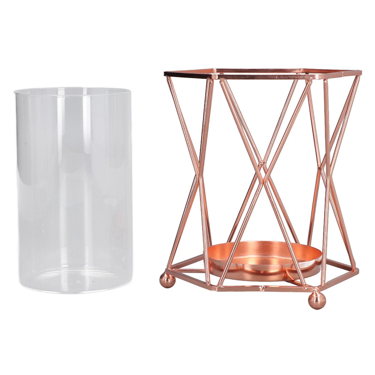 Plant Vase with Wrought Iron Flower Stand Transparent Glass Flower Pot Hydroponic Vase for Living Room