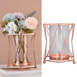 Plant Vase with Wrought Iron Flower Stand Transparent Glass Flower Pot Hydroponic Vase for Living Room - Extra Image