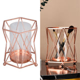 Plant Vase with Wrought Iron Flower Stand Transparent Glass Flower Pot Hydroponic Vase for Living Room
