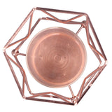 Plant Vase with Wrought Iron Flower Stand Transparent Glass Flower Pot Hydroponic Vase for Living Room
