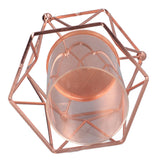Plant Vase with Wrought Iron Flower Stand Transparent Glass Flower Pot Hydroponic Vase for Living Room