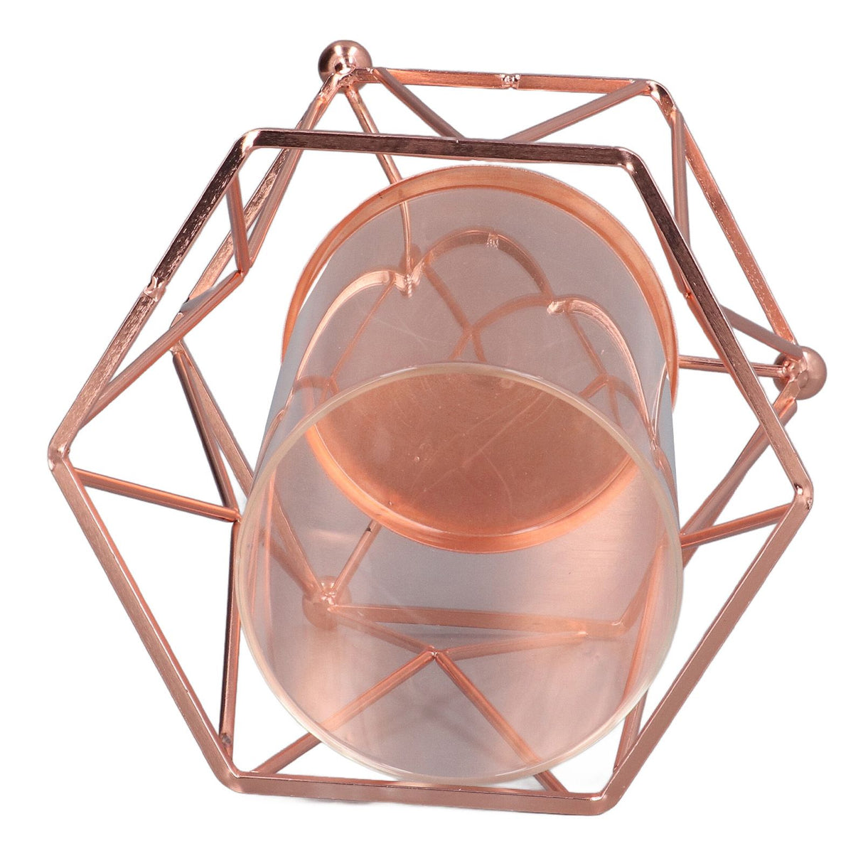 Plant Vase with Wrought Iron Flower Stand Transparent Glass Flower Pot Hydroponic Vase for Living Room