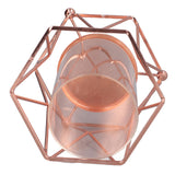 Plant Vase with Wrought Iron Flower Stand Transparent Glass Flower Pot Hydroponic Vase for Living Room