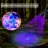 UV Flashlight 100 LED Beads 395nm Easy Use Excellent Performance Anti Slip Treatment Fluorescent Detection Supplies