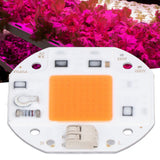 High Power LED Chip Plant Grow Light 380‑800NM COB Lamp Beads Drive Free for DIY Hydroponic Growing Light 220V70W
