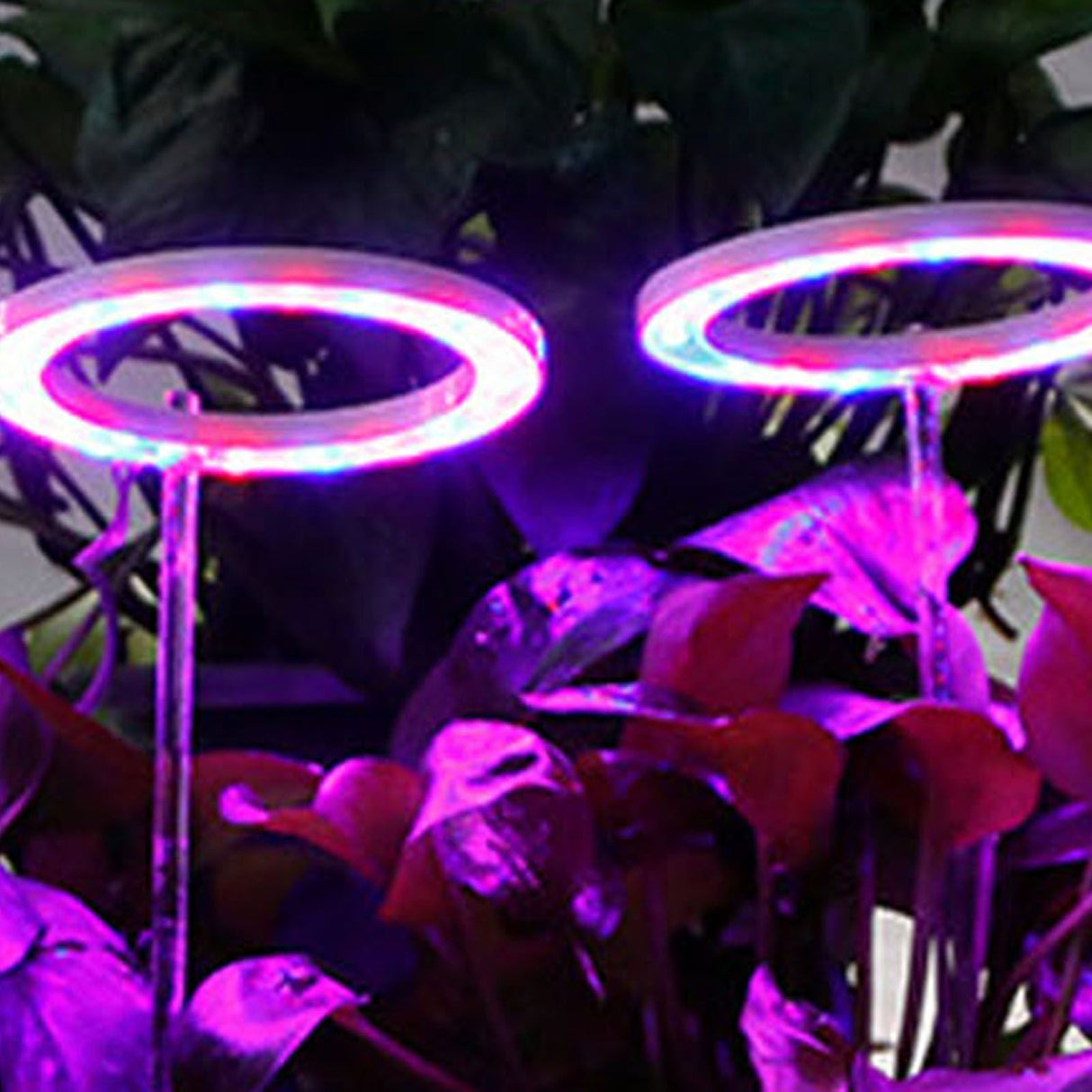 LED Plant Grow Lights Full Spectrum USB Growing Light Timing 5 Level Dimming for Indoor Plant Growing Red Blue Light