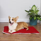 Christmas Theme Pet Cat Dog Bed Mat Pad Soft Warm Thick Kennel Cage Sofa Mat for Small Medium Large Dogs Sleeping - Top-Down View