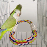 Bird Mirror Toy with Rope Mirror Perch Parrot Bite Toy Parrot Claw Perches Bird Cage Chew Toy - Rear View