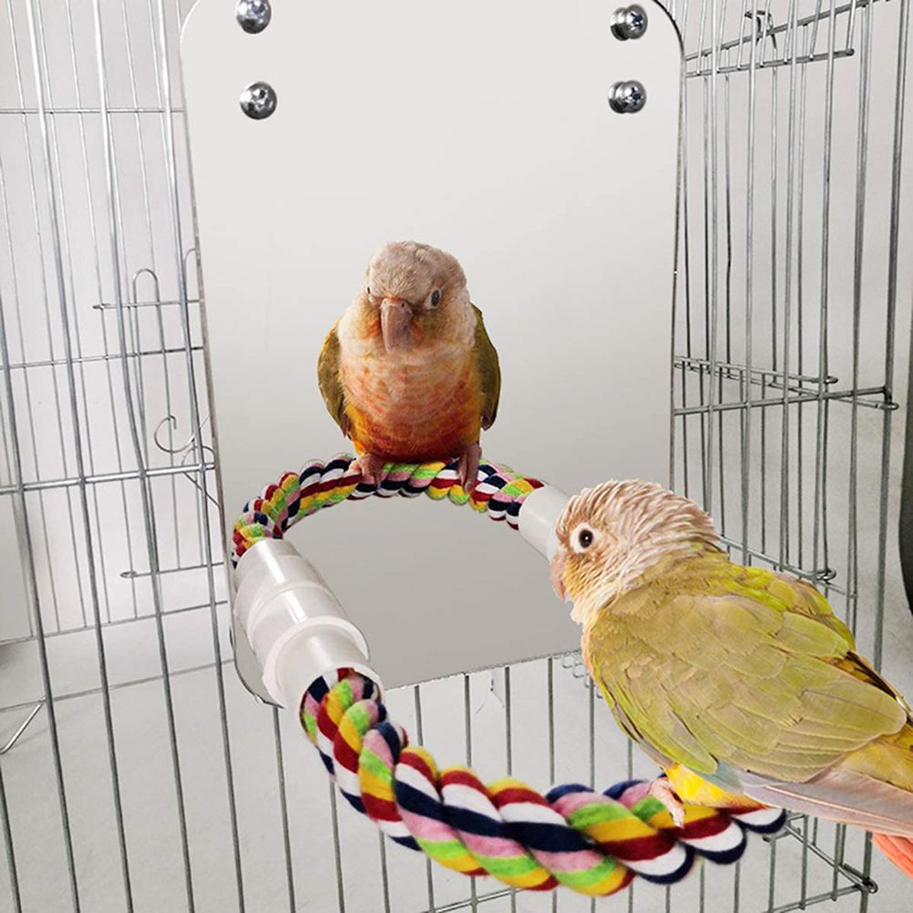 Bird Mirror Toy with Rope Mirror Perch Parrot Bite Toy Parrot Claw Perches Bird Cage Chew Toy