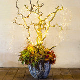 Waterfall String Lights Star Decorative Lights Twinkle Fairy Lights with Remote Control