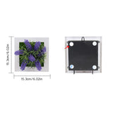 3D Stereo Wall Hanging Simulation Plant Photo Frame Flower Frames Decoration 50A - Front View