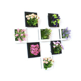 3D Stereo Wall Hanging Simulation Plant Photo Frame Flower Frames Decoration 50A