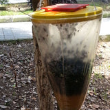 Fly Trap Outdoors Fly Catcher Hanging Fly Bags for Outdoor Barns Stables and Yards - Extra Image
