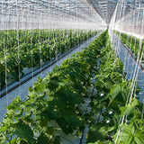10Pcs Tomato Trellis Roller Hooks Tomato Support Hooks Plant Roller Hook with 15M String Plant Cages Supports Roller Hook for Plant Fruit