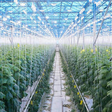10Pcs Tomato Trellis Roller Hooks Tomato Support Hooks Plant Roller Hook with 15M String Plant Cages Supports Roller Hook for Plant Fruit