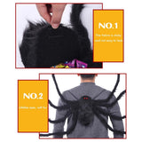 Halloween Giant Spider Backpack Spider Halloween Costume Indoor Outdoor Yard Party Halloween Decor - Extra Image
