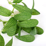 Artificial Mistletoe Leaves Christmas Decoration - Rear View