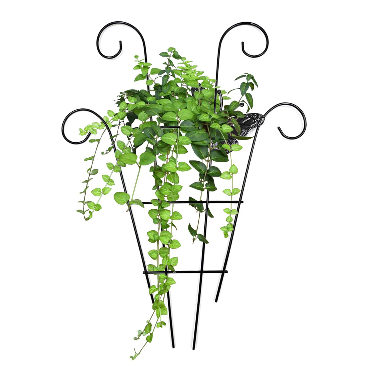 Stainless Steel Garden Trellis for Climbing Plants Vine Plant Support Trellis for Vines