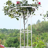 Assembled Umbrella Flower Stand Climbing Vine Plant Easy to Install Garden Plant Support - Close-Up Angle