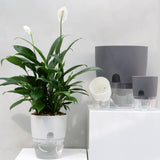 Self Watering Planter Cotton Rope Plastic Decorative Planting Pot for Indoor Outdoor Plants Flowers Herbs White 15.3cm/6in Diameter - Front View