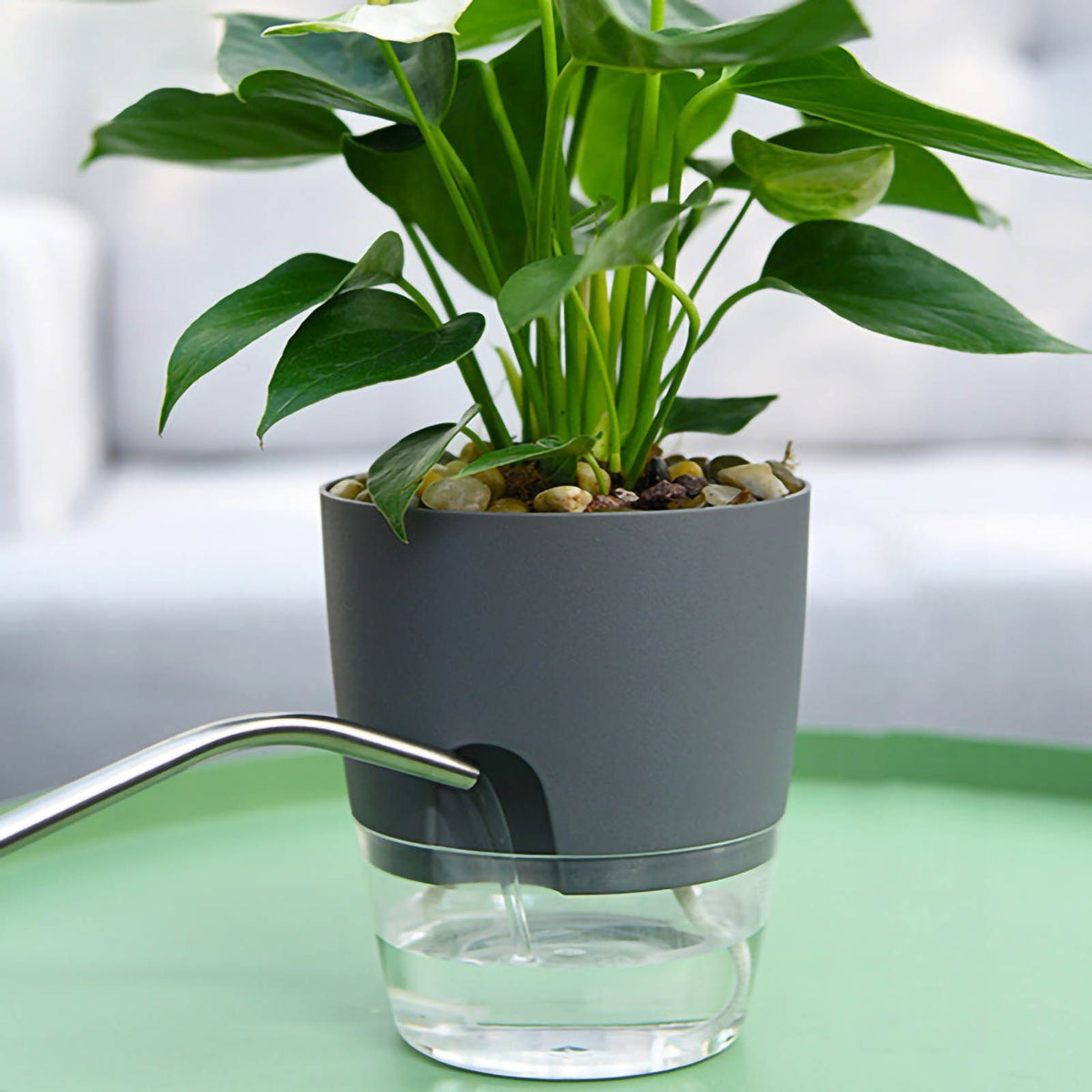 Self Watering Planter Cotton Rope Plastic Decorative Planting Pot for Indoor Outdoor Plants Flowers Herbs Grey 15.3cm/6in Diameter