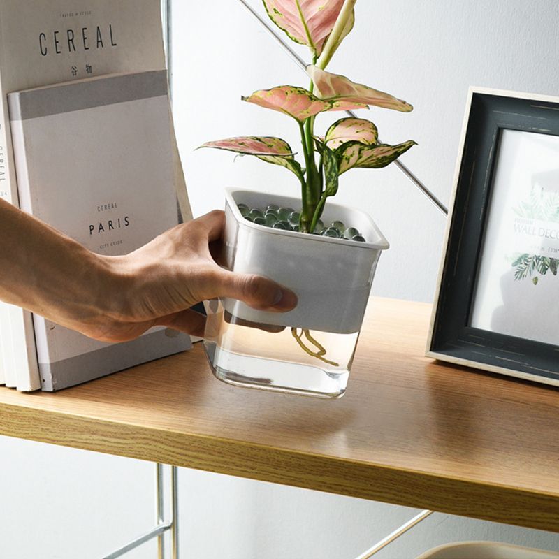Water Absorption Planter Indoor Self Absorbed Watering Pot Flower Container for Office Home Semitransparent