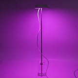 LED Plant Grow Light 3 Modes Timing USB Powered Adjustable Brightness Height Plant Growing Lamp for Succulent Cactus