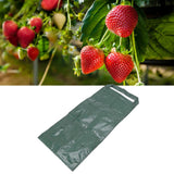 Hanging Planting Bag Multi Holes PE Plant Grow Pouch for Strawberry Vegetable Flower Green 8 Holes